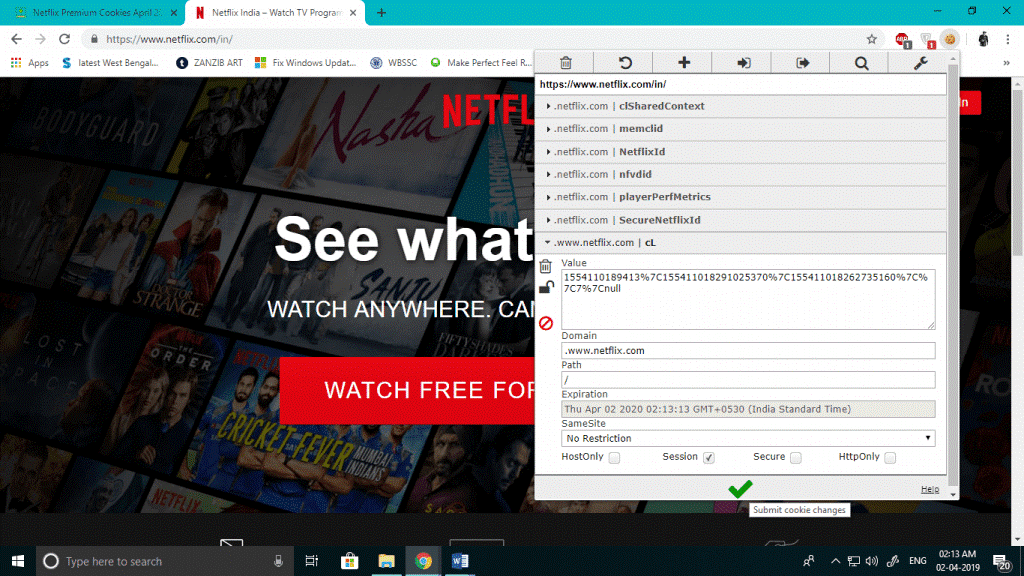 How To Use Cookies On Netflix 6