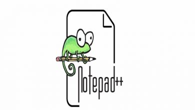 What is Notepaddqq (Notepad++)