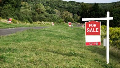 Perfect Land for Sale