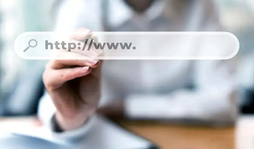Domain Search