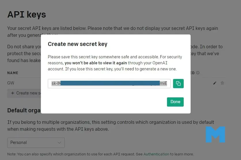 API Key appears
